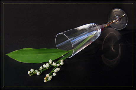 BLOG-IMG_0152-flûte et muguet