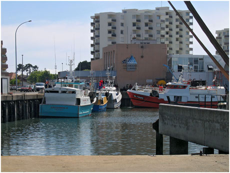BLOG-IMG_0192-halle à marée Arcachon