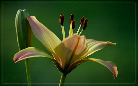 BLOG-DSC_2857-2-lys BLOG-DSC_2857-2-lys