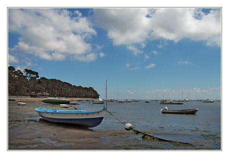 BLOG-DSC_2913-pinassotte