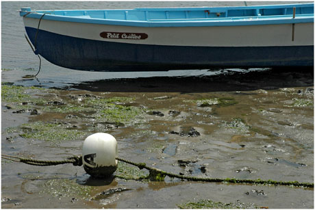 BLOG-DSC_2914-proue et bouée