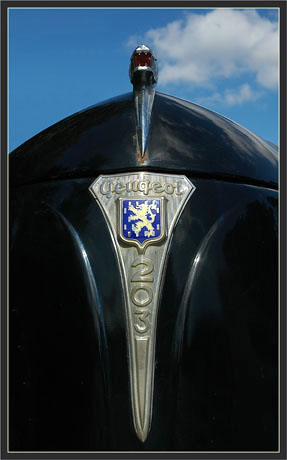 BLOG-DSC_2950-sigle et tête de lion 203-2