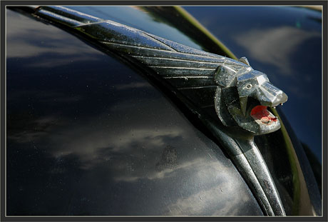 BLOG-DSC_2951-tête de lion 203