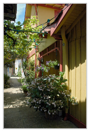 BLOG-DSC_2978-jaune et rouge