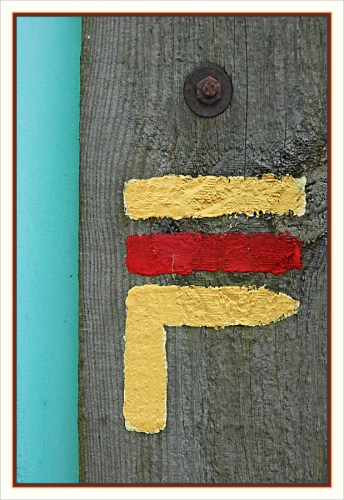 CP-DSC_4139-Bison randonneur fûté