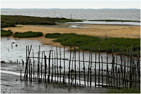 BLOG-DSC_3320-estey marée montante