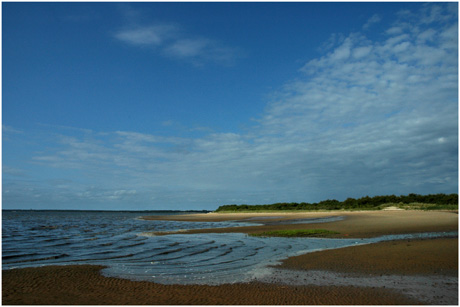 BLOG-DSC_3344-marée montante le Teich