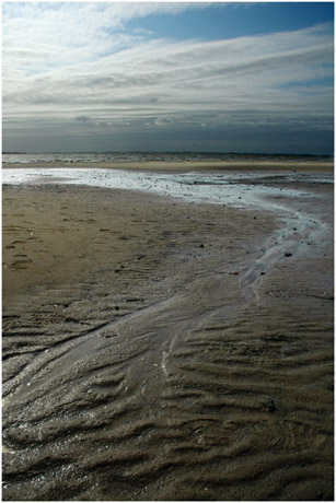 BLOG-DSC_3356-sable mouillé et Bassin