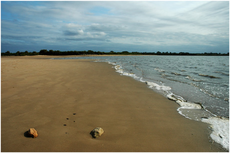 BLOG-DSC_3367-cailloux plage et sentier