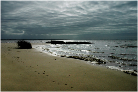 BLOG-DSC_3372-plage du Teich  Arcachon au loin