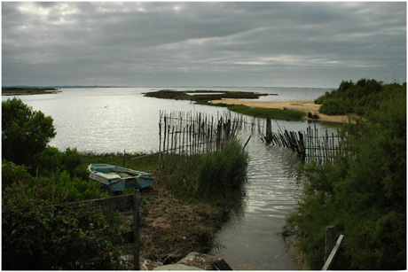 BLOG-DSC_3391-écluse, estey et Bassin marée haute