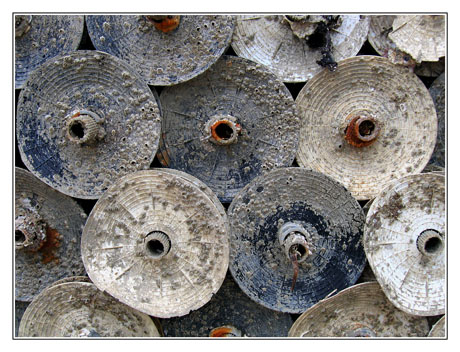 BLOG-IMG_0314-collecteurs lamelles souples