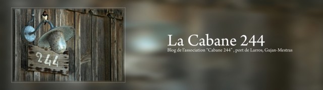 BLOG-DSC_2156-bannière hirondelle-larros-244_hf-arno-pro