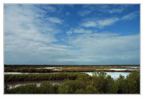 BLOG-DSC_3927-gravières parc BLOG-DSC_3927-gravières parc