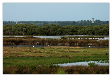 BLOG-DSC_3929-gravières, digue sentier du littoral, Audenge au loin BLOG-DSC_3929-gravières, digue sentier du littoral, Audenge au loin
