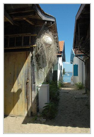 BLOG-DSC_4486-cabane l'Herbe, filet et Bassin