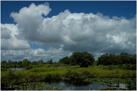 BLOG-DSC_4550-nuages sur mare aux nymphéas