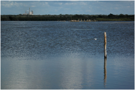 BLOG-DSC_4602-smurfit