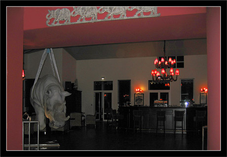 BLOG-IMG_0489-rhinocéros et bar