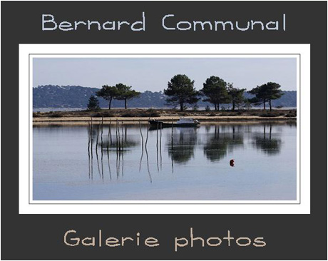 Galerie photo Bernad Communal