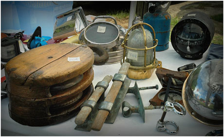 BLOG-DSC_4662-rec-puces marines