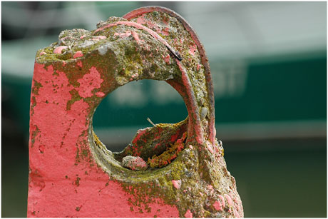 BLOG-DSC_4720-borne trouée