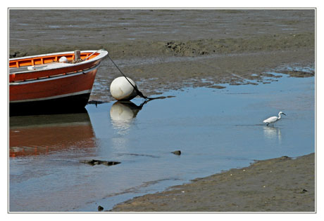 BLOG-DSC_4785-aigrette, bouée et proue