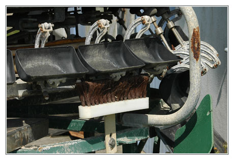 BLOG-DSC_4851-calibreuse sophistiquée