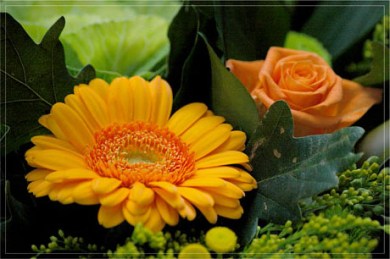 BLOG-DSC_4925-bouquet