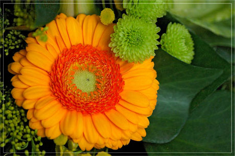 BLOG-DSC_4929-bouquet