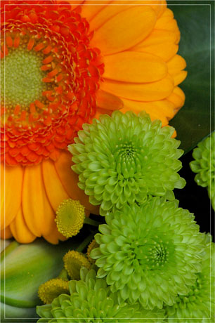 BLOG-DSC_4931-macro bouquet