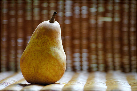 BLOG-DSC_5244-poire et osier