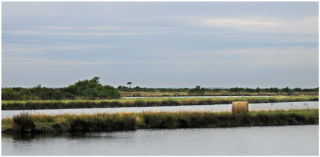 BLOG-IMG_0577-meule et bassins de Certes BLOG-IMG_0577-meule et bassins de Certes