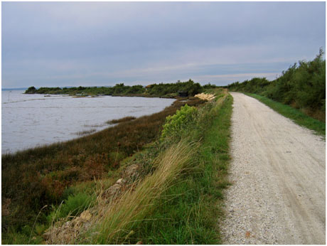 BLOG-IMG_0584-sentier du littoral Certes
