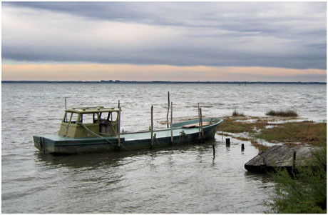 BLOG-IMG_0593-bateau Certes face au Teich