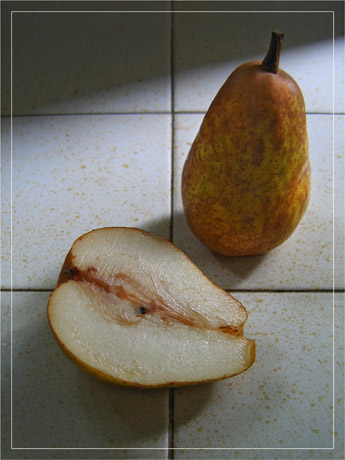 BLOG-IMG_0794-poire et sa moitié sur carreaux