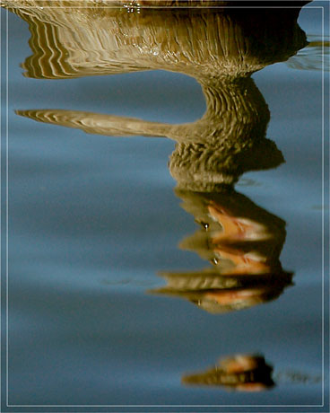 BLOG-DSC_5063-qui suis-je