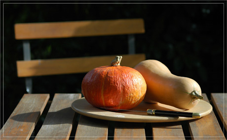 BLOG-DSC_5365-table chaise potimarron courge