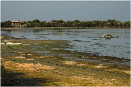 BLOG-DSC_5405-maison lagune grand-large asséchée