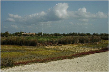 BLOG-DSC_5408-maison entre grand large et Quancard