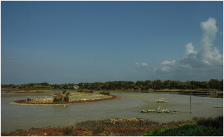 BLOG-DSC_5416-lagune Quancard asséchée