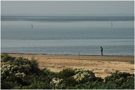 BLOG-DSC_5429-promeneur plage Teich, vu depuis Quancard