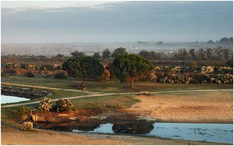 BLOG-DSC_5467-brume soleil levant plan d'eau et plaines Teich