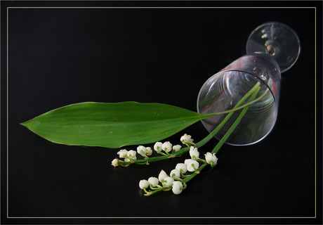 BLOG-IMG_0154-flûte et muguet face