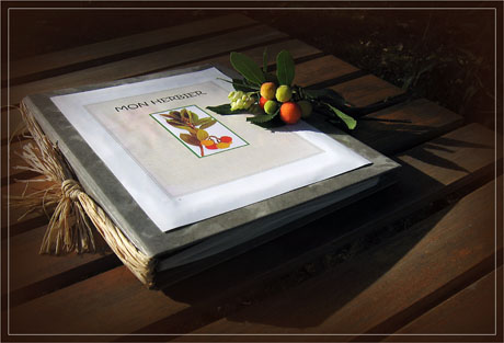 BLOG-IMG_0842-mon herbier anonyme + fleur et fruit arbousier