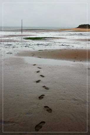 BLOG-DSC_5718-pas plage duTeich BLOG-DSC_5718-pas plage duTeich