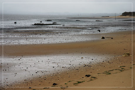 BLOG-DSC_5722-plage du Teich et grisaille BLOG-DSC_5722-plage du Teich et grisaille