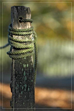 BLOG-DSC_5825-piquet et corde