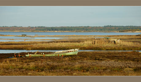 BLOG-DSC_5846-épave et tonnes de chasse Barbotière