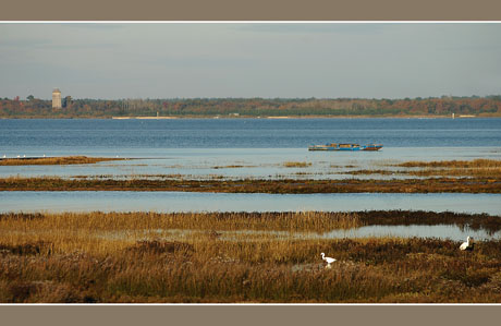 BLOG-DSC_5856-face Barbotière, plate, Audenge